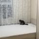 review preview photo № 7