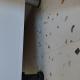 review photo № 4