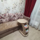 review preview photo № 0