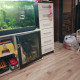 review preview photo № 0