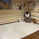 review preview photo № 0