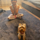 review preview photo № 0